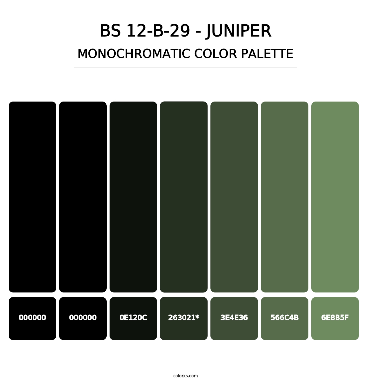 BS 12-B-29 - Juniper - Monochromatic Color Palette