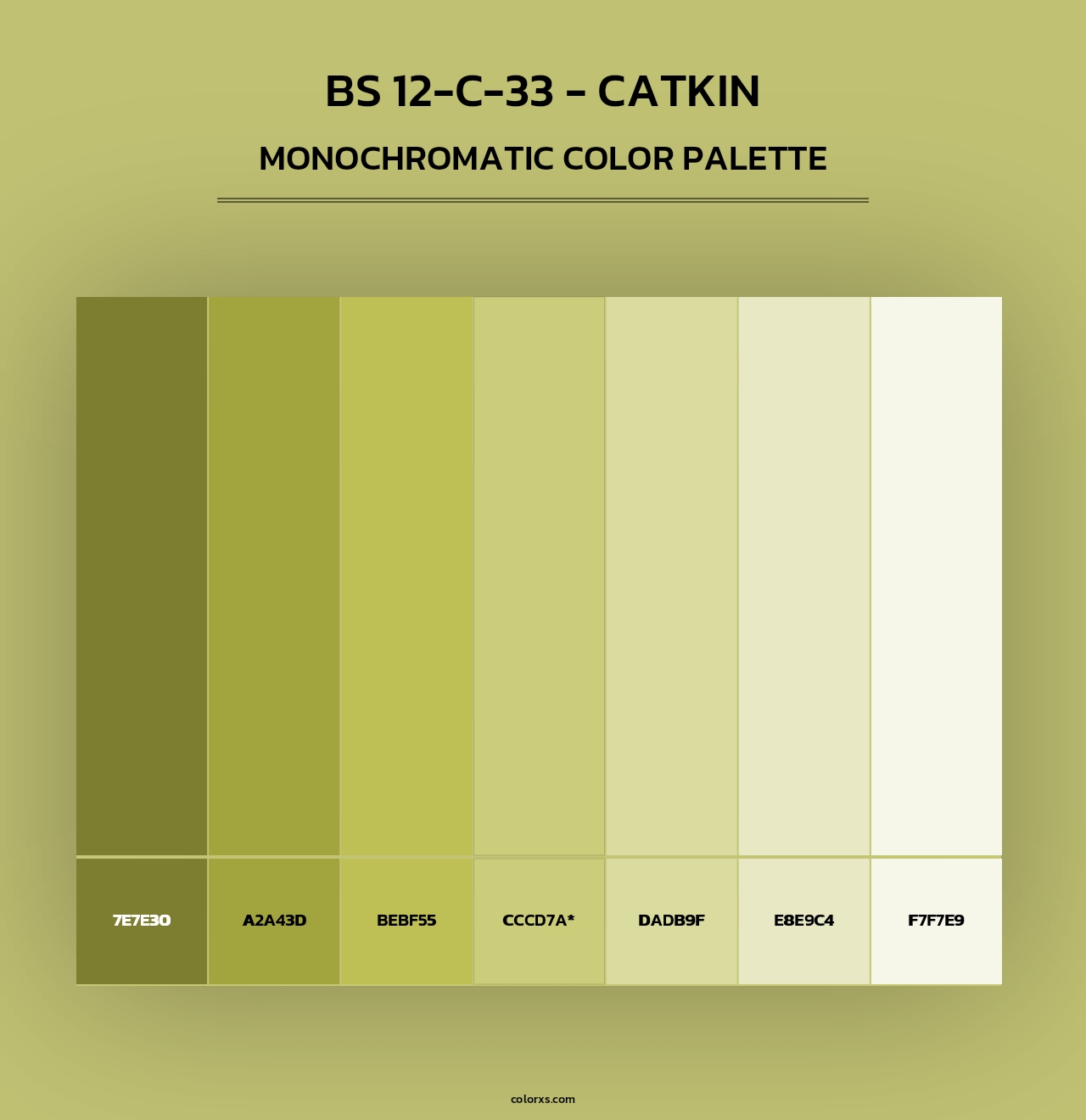 BS 12-C-33 - Catkin - Monochromatic Color Palette