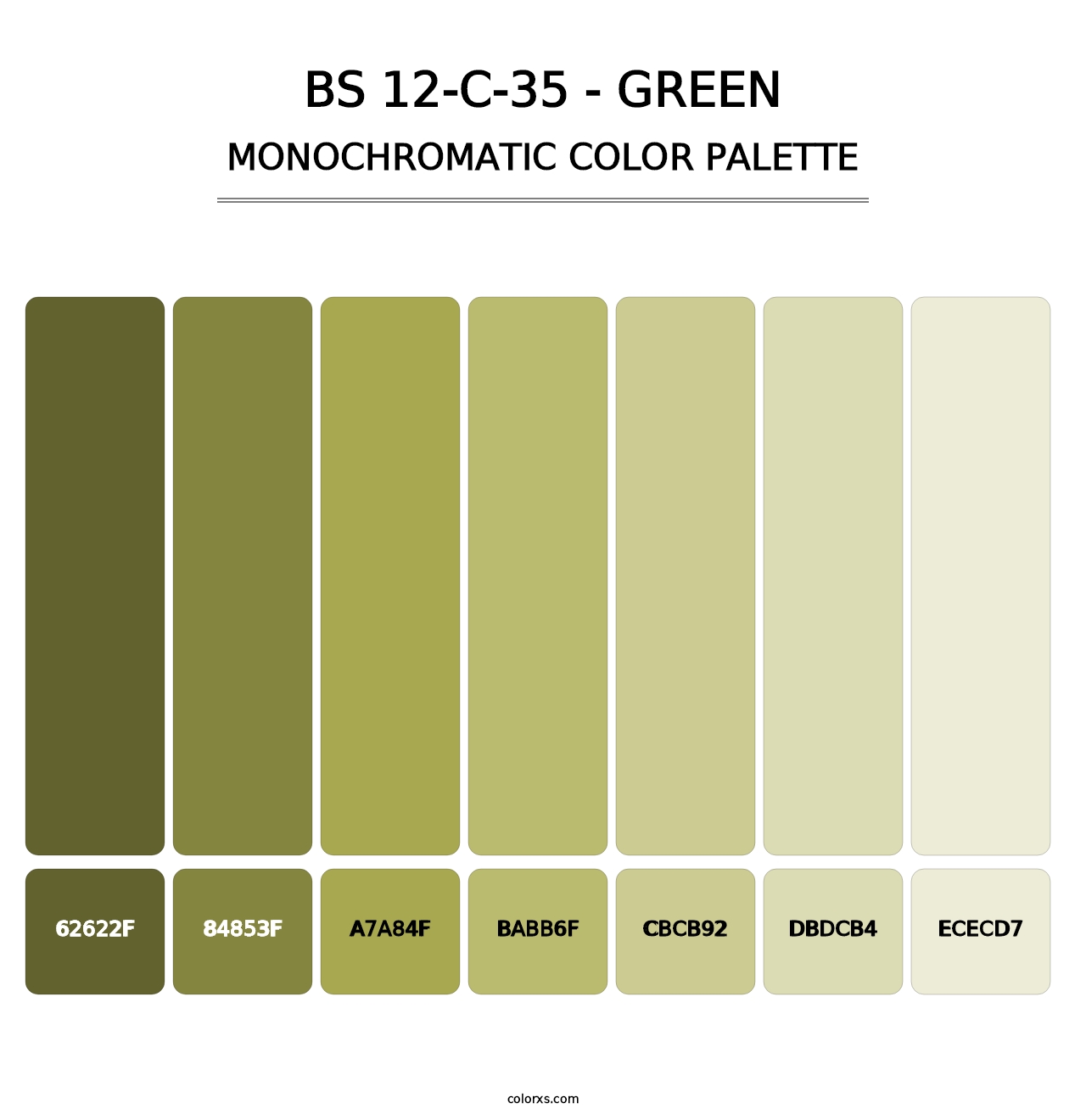 BS 12-C-35 - Green - Monochromatic Color Palette
