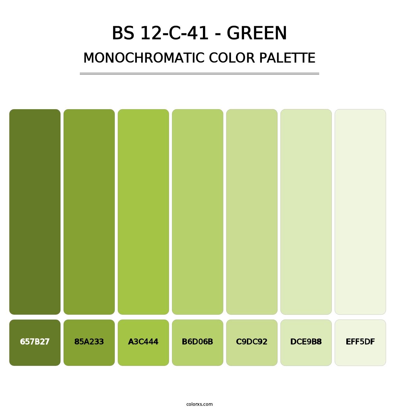 BS 12-C-41 - Green - Monochromatic Color Palette