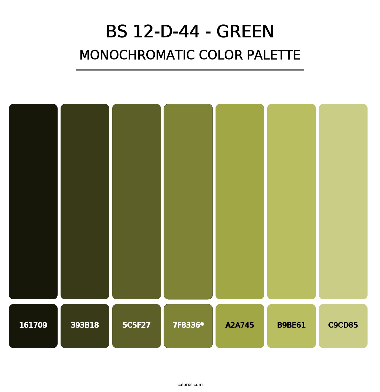 BS 12-D-44 - Green - Monochromatic Color Palette