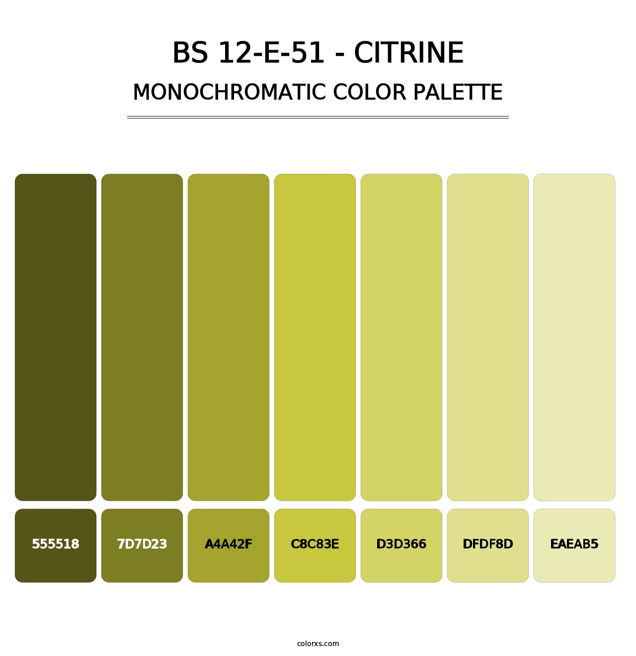BS 12-E-51 - Citrine - Monochromatic Color Palette