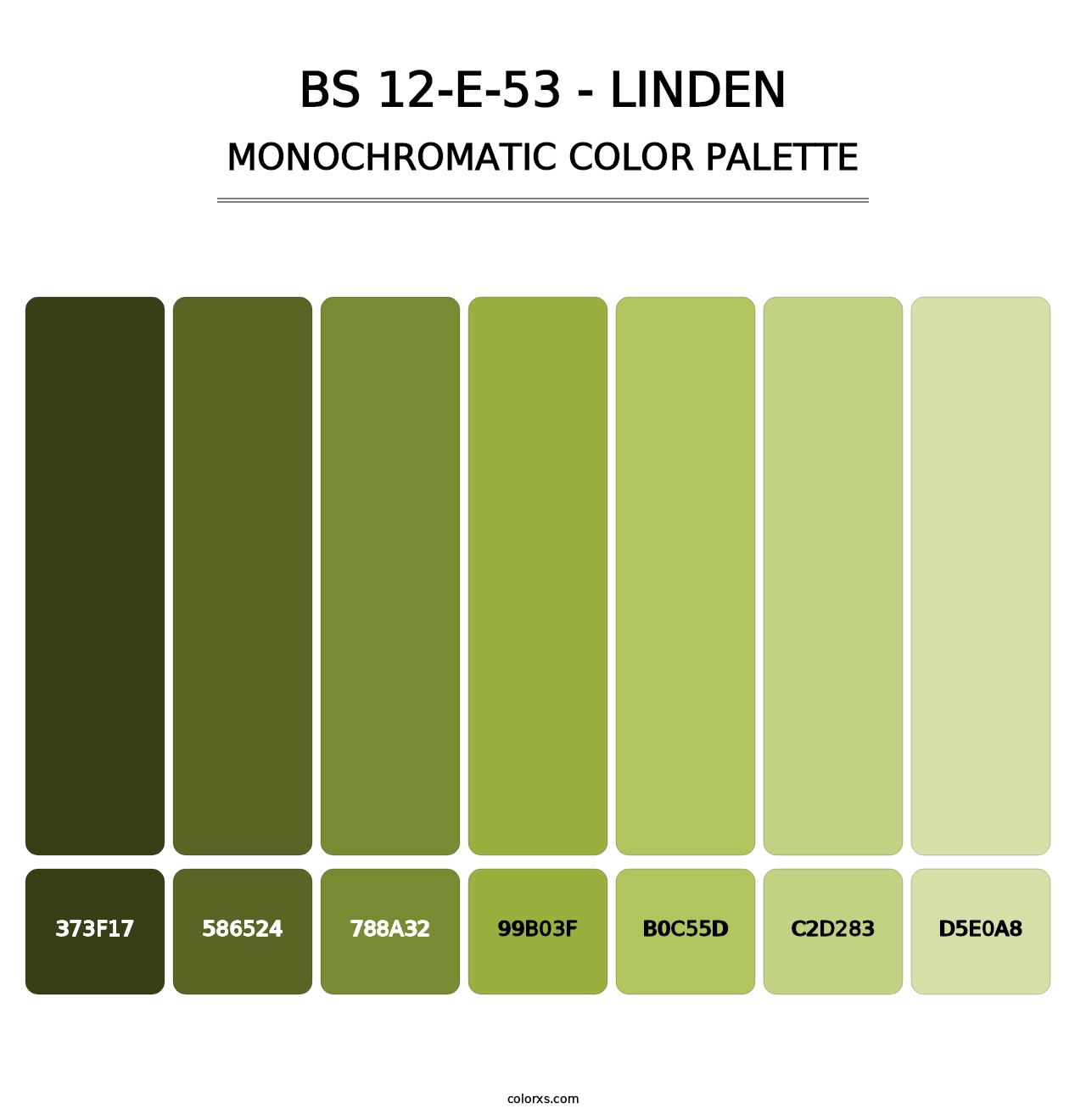 BS 12-E-53 - Linden - Monochromatic Color Palette