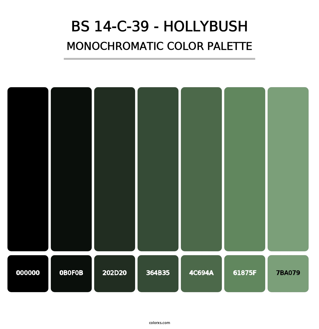 BS 14-C-39 - Hollybush - Monochromatic Color Palette