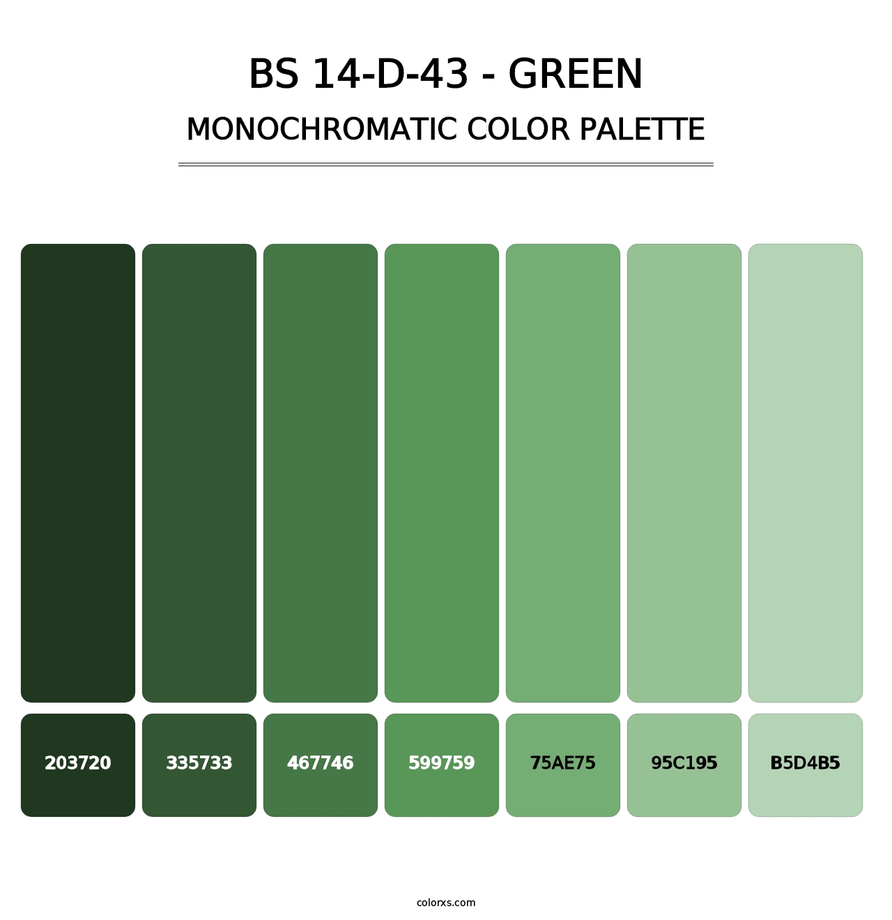 BS 14-D-43 - Green - Monochromatic Color Palette
