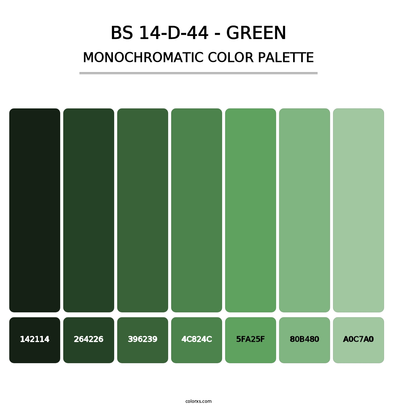 BS 14-D-44 - Green - Monochromatic Color Palette
