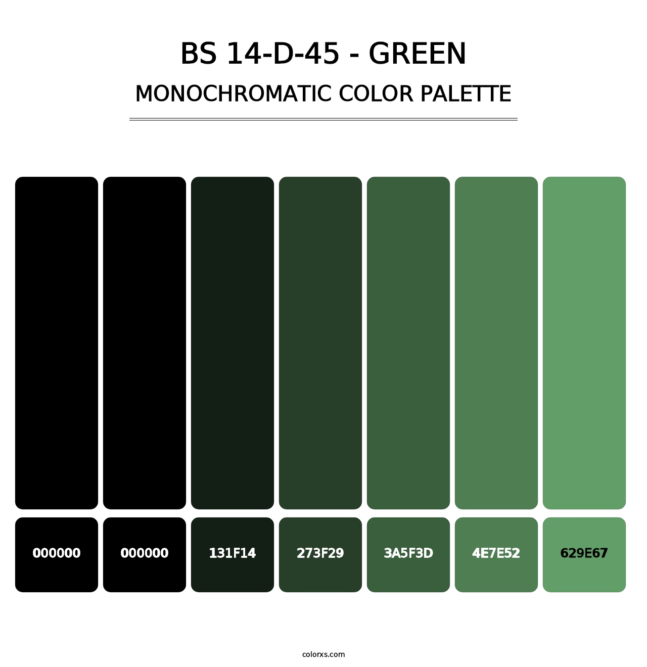 BS 14-D-45 - Green - Monochromatic Color Palette