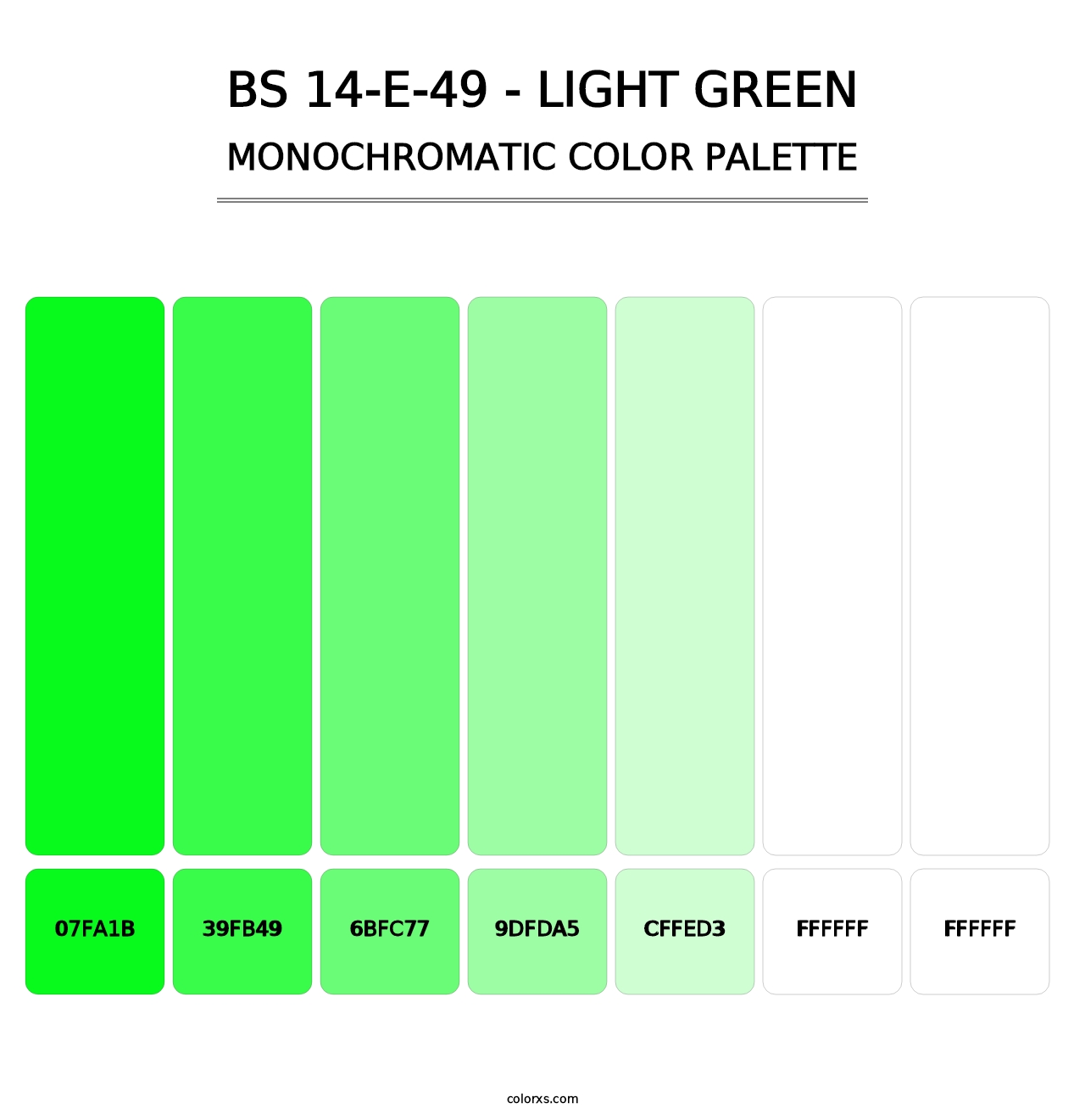 BS 14-E-49 - Light Green - Monochromatic Color Palette
