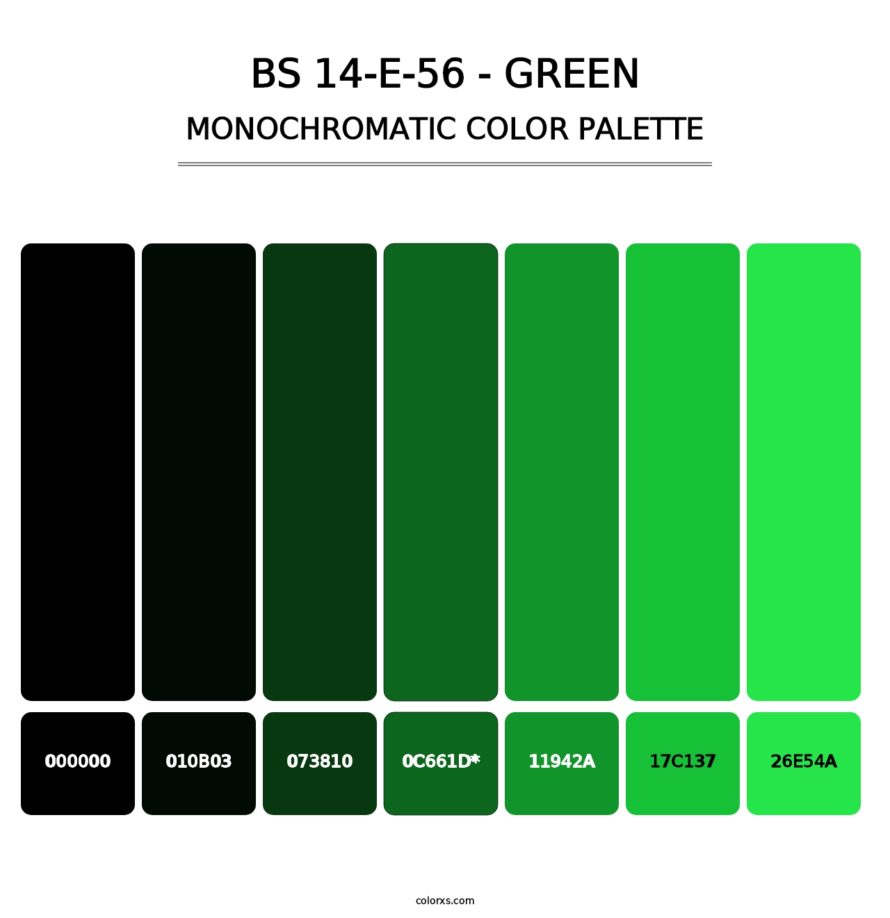 BS 14-E-56 - Green - Monochromatic Color Palette