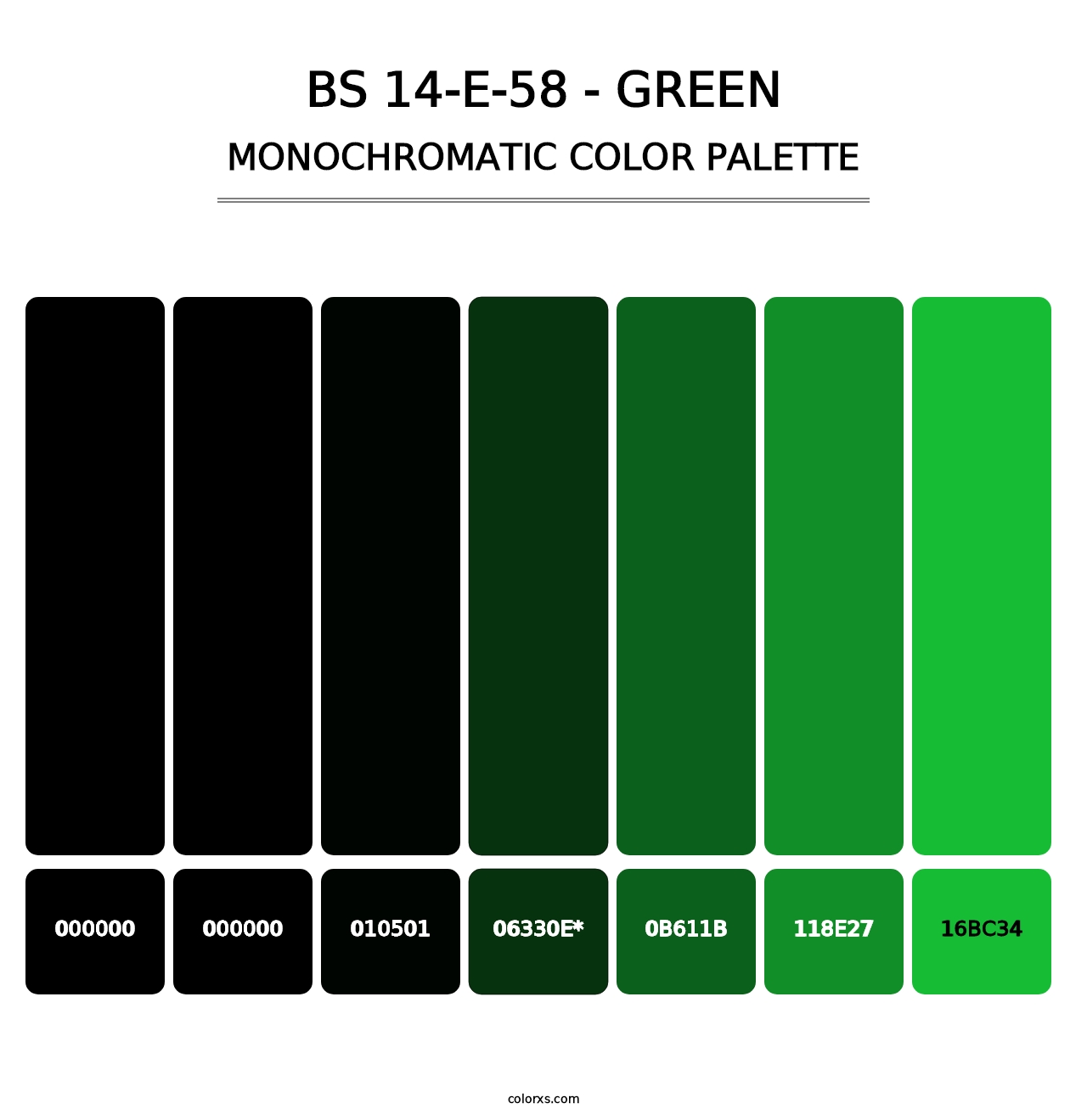 BS 14-E-58 - Green - Monochromatic Color Palette