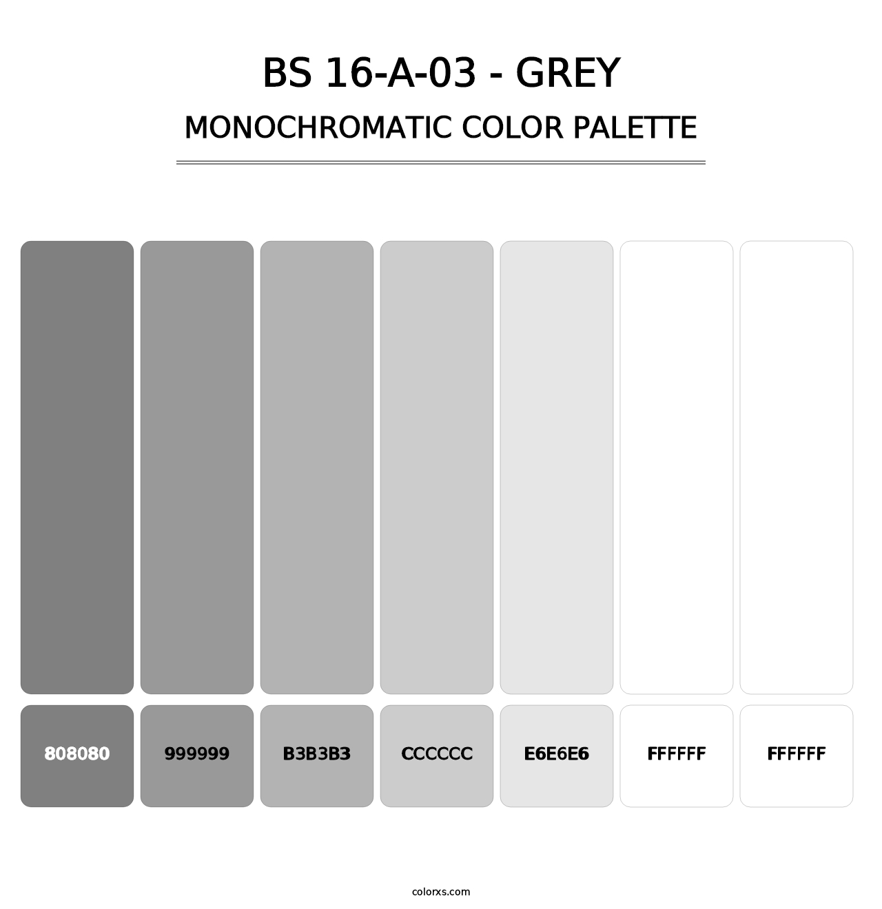 BS 16-A-03 - Grey - Monochromatic Color Palette