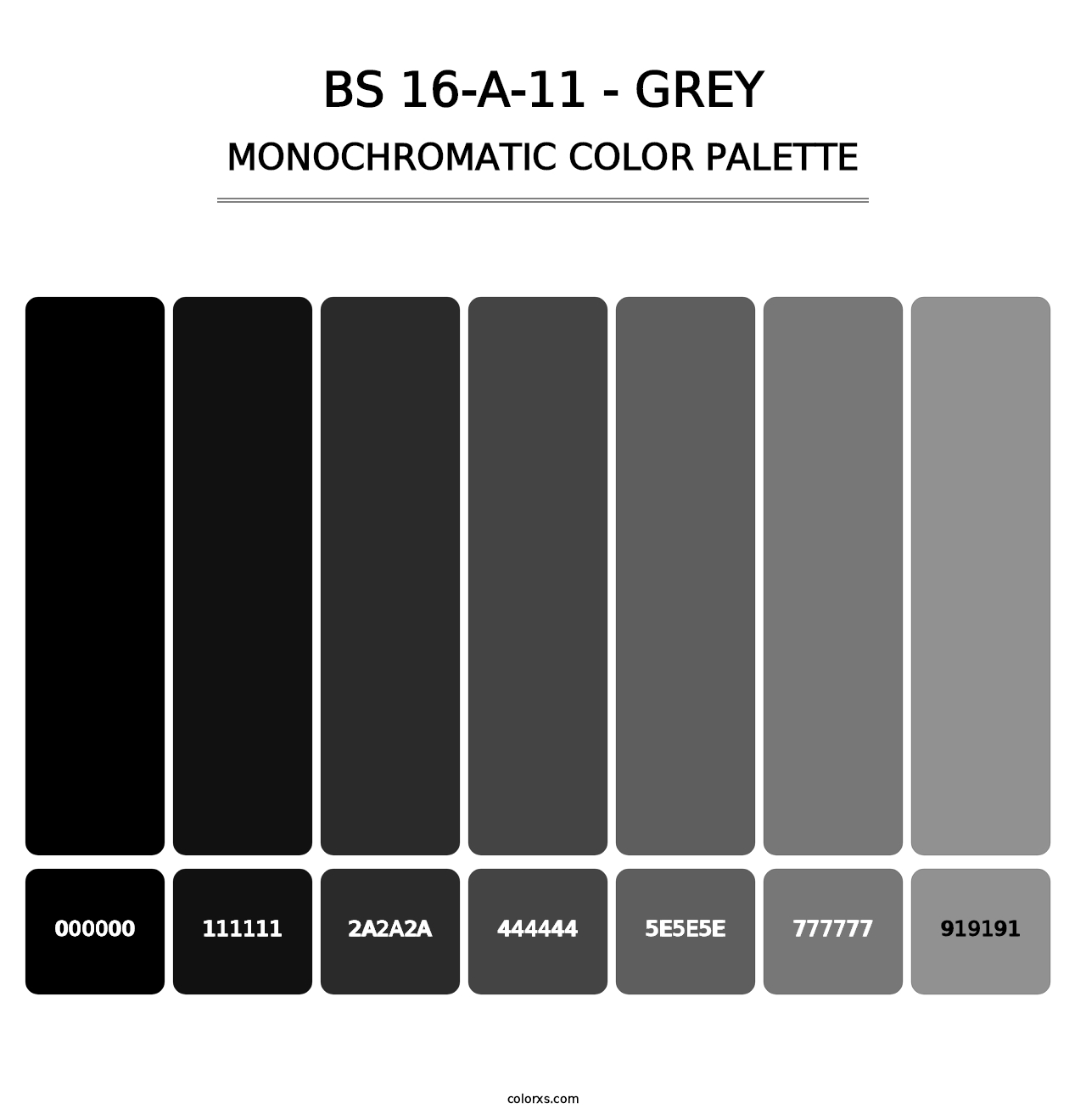 BS 16-A-11 - Grey - Monochromatic Color Palette