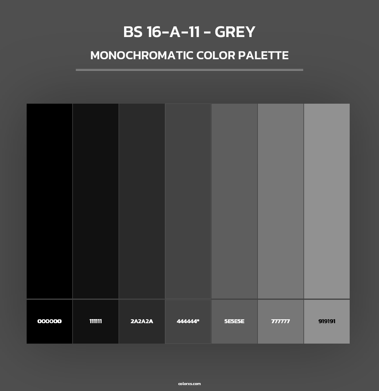 BS 16-A-11 - Grey - Monochromatic Color Palette