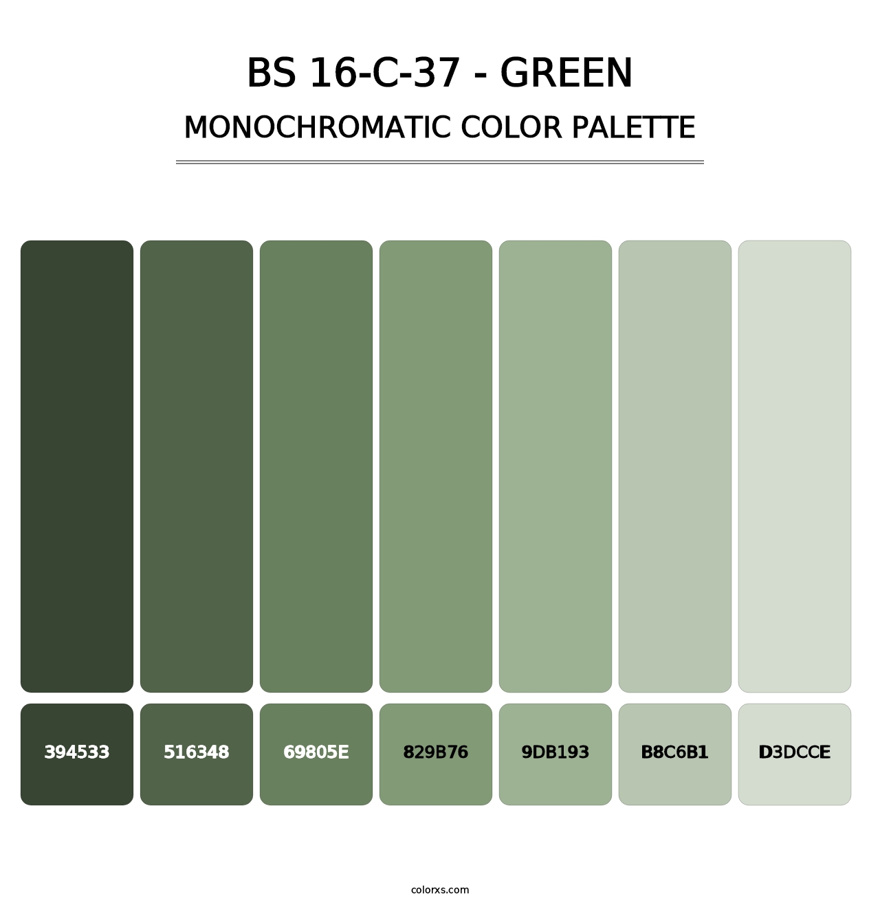 BS 16-C-37 - Green - Monochromatic Color Palette