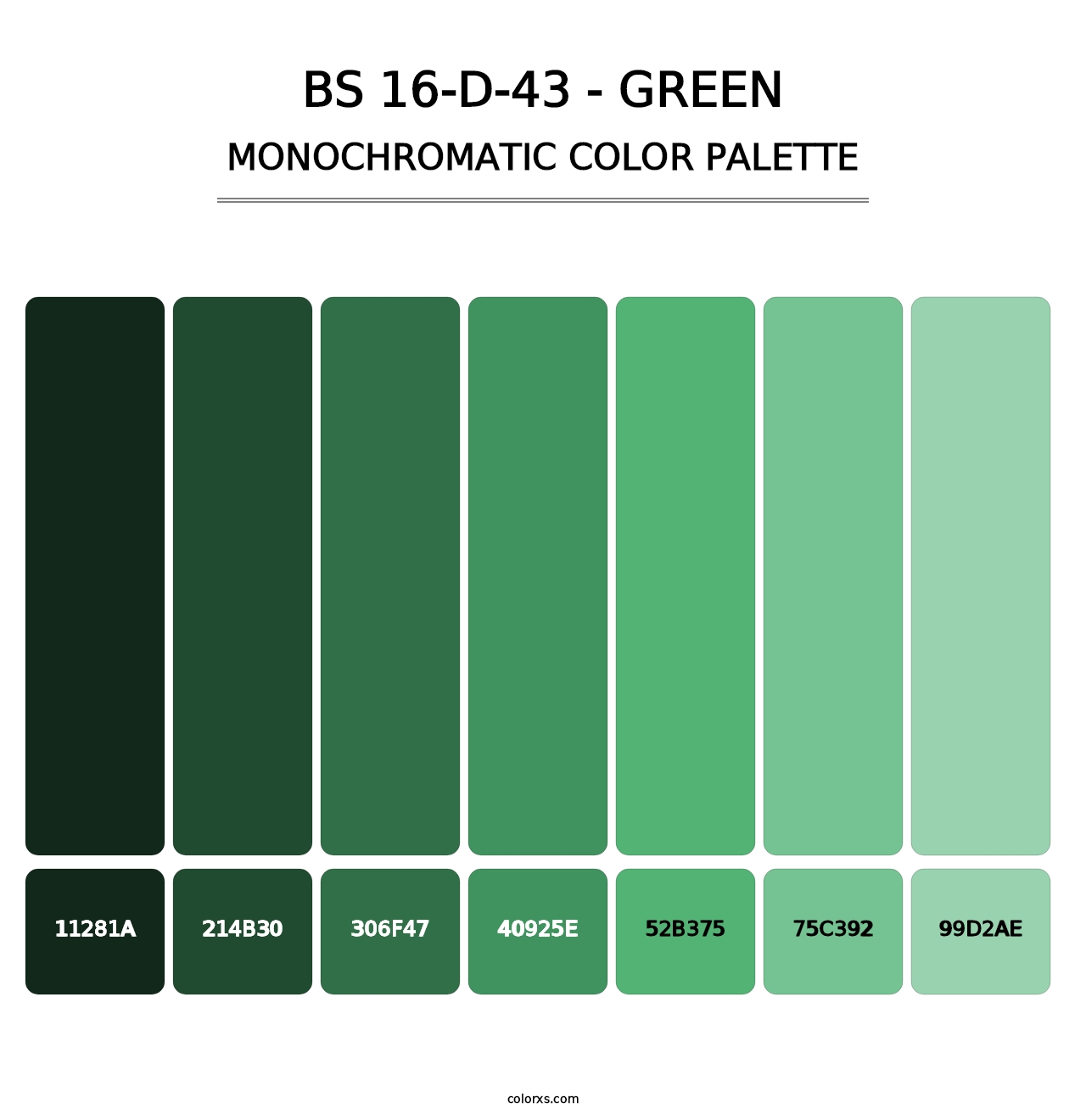 BS 16-D-43 - Green - Monochromatic Color Palette