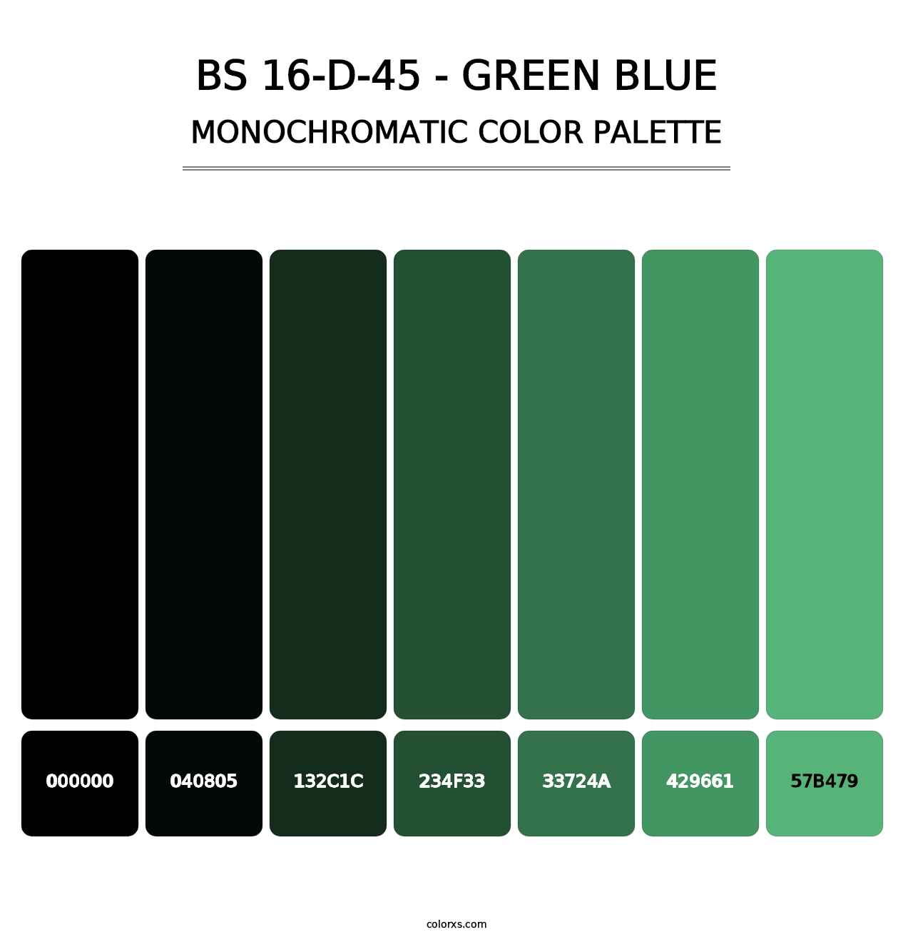 BS 16-D-45 - Green Blue - Monochromatic Color Palette