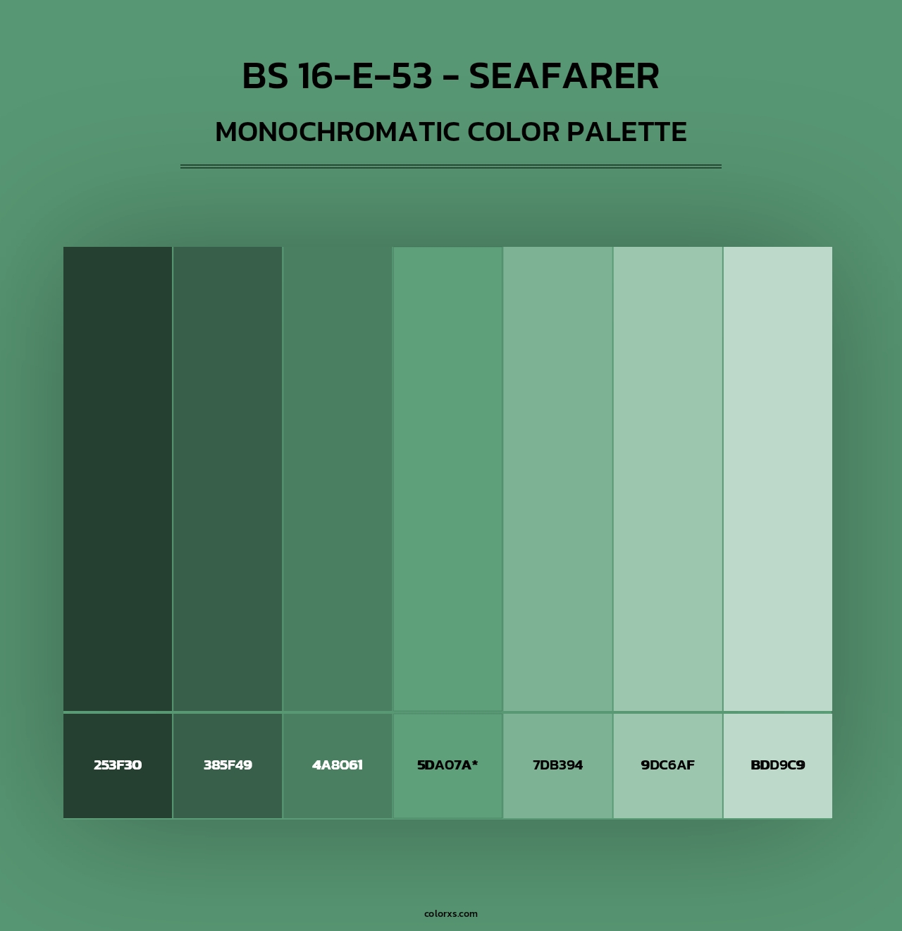 BS 16-E-53 - Seafarer - Monochromatic Color Palette