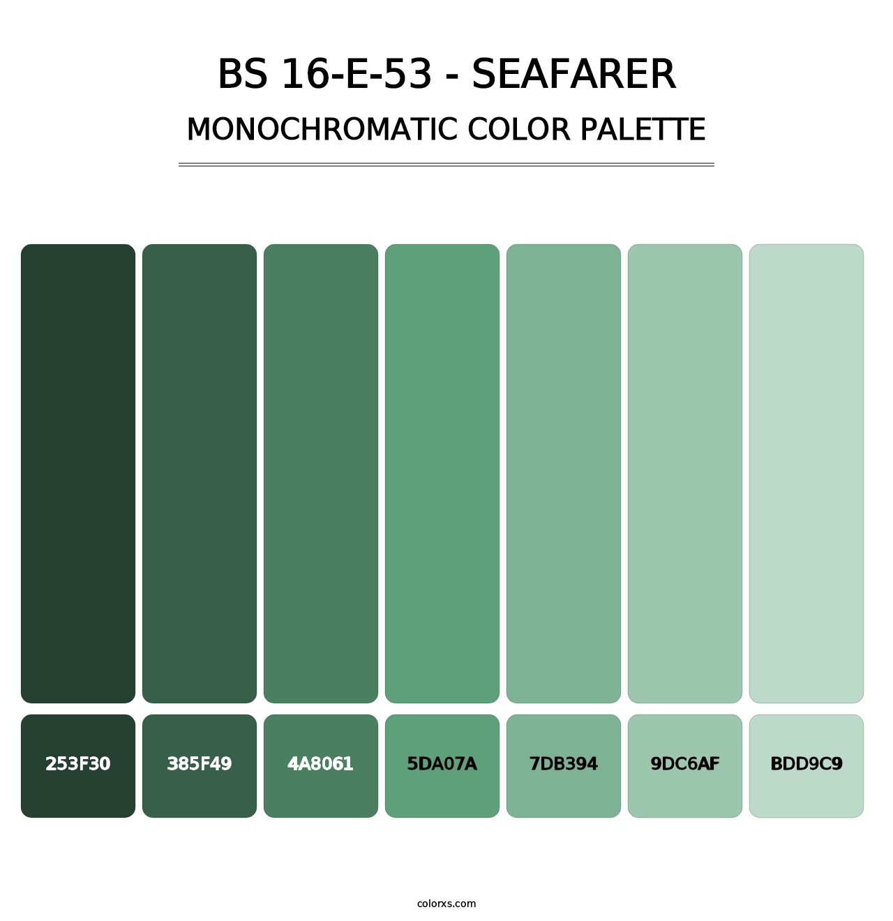 BS 16-E-53 - Seafarer - Monochromatic Color Palette