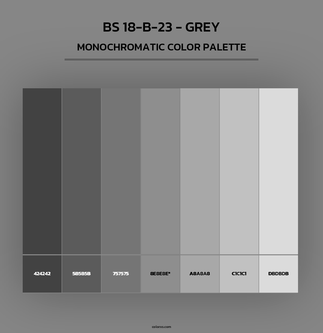 BS 18-B-23 - Grey - Monochromatic Color Palette