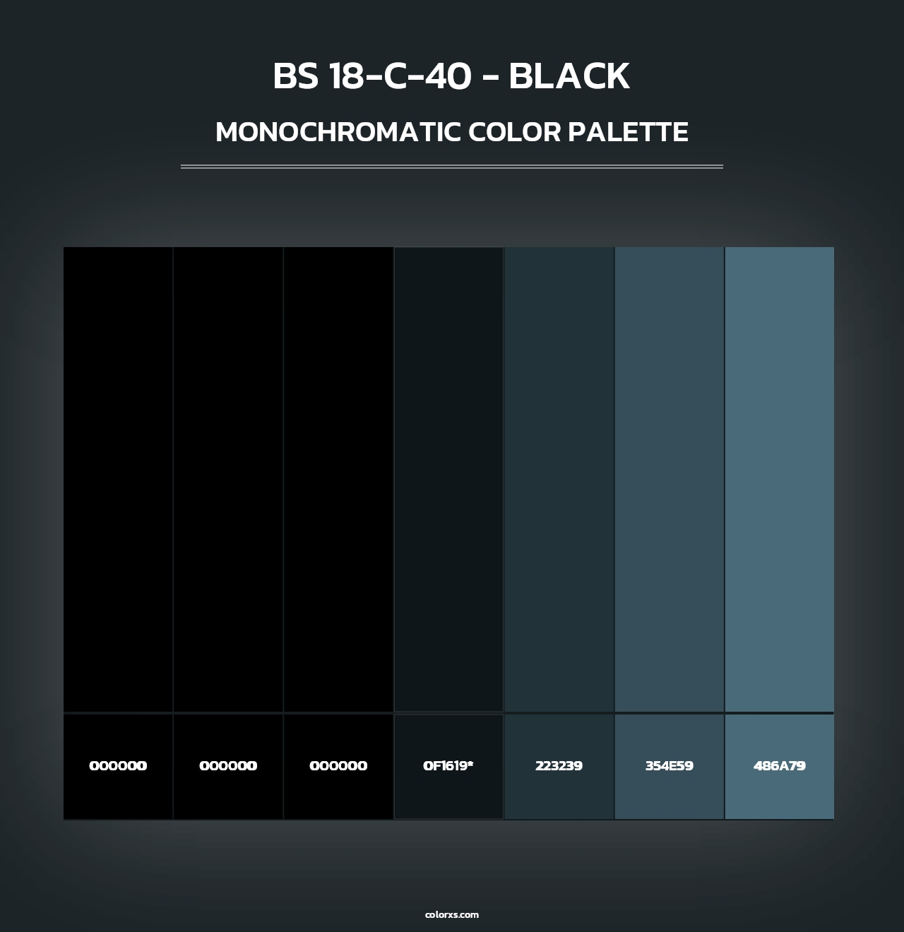 BS 18-C-40 - Black - Monochromatic Color Palette