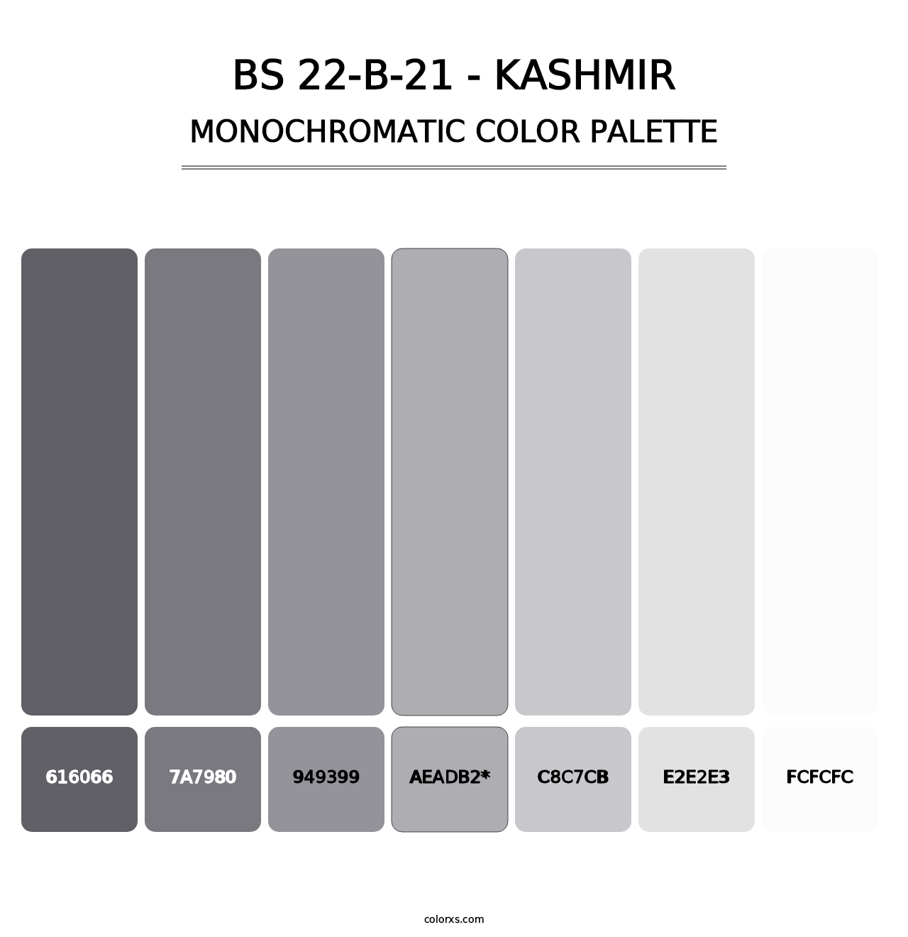 BS 22-B-21 - Kashmir - Monochromatic Color Palette