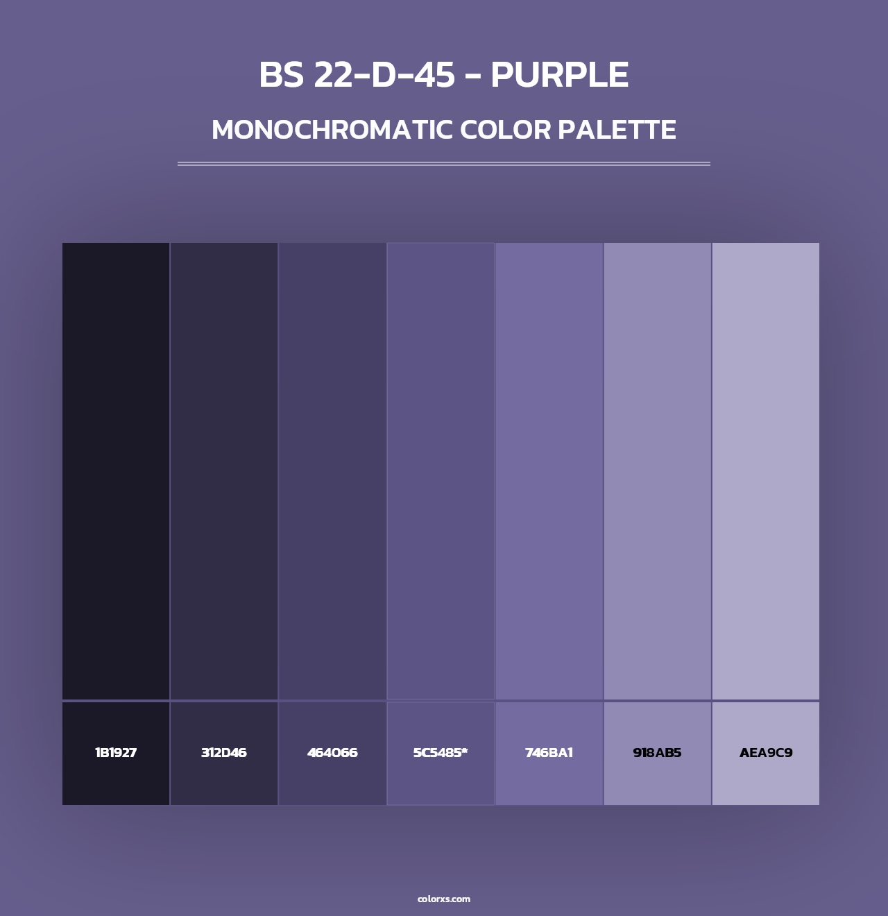 BS 22-D-45 - Purple - Monochromatic Color Palette