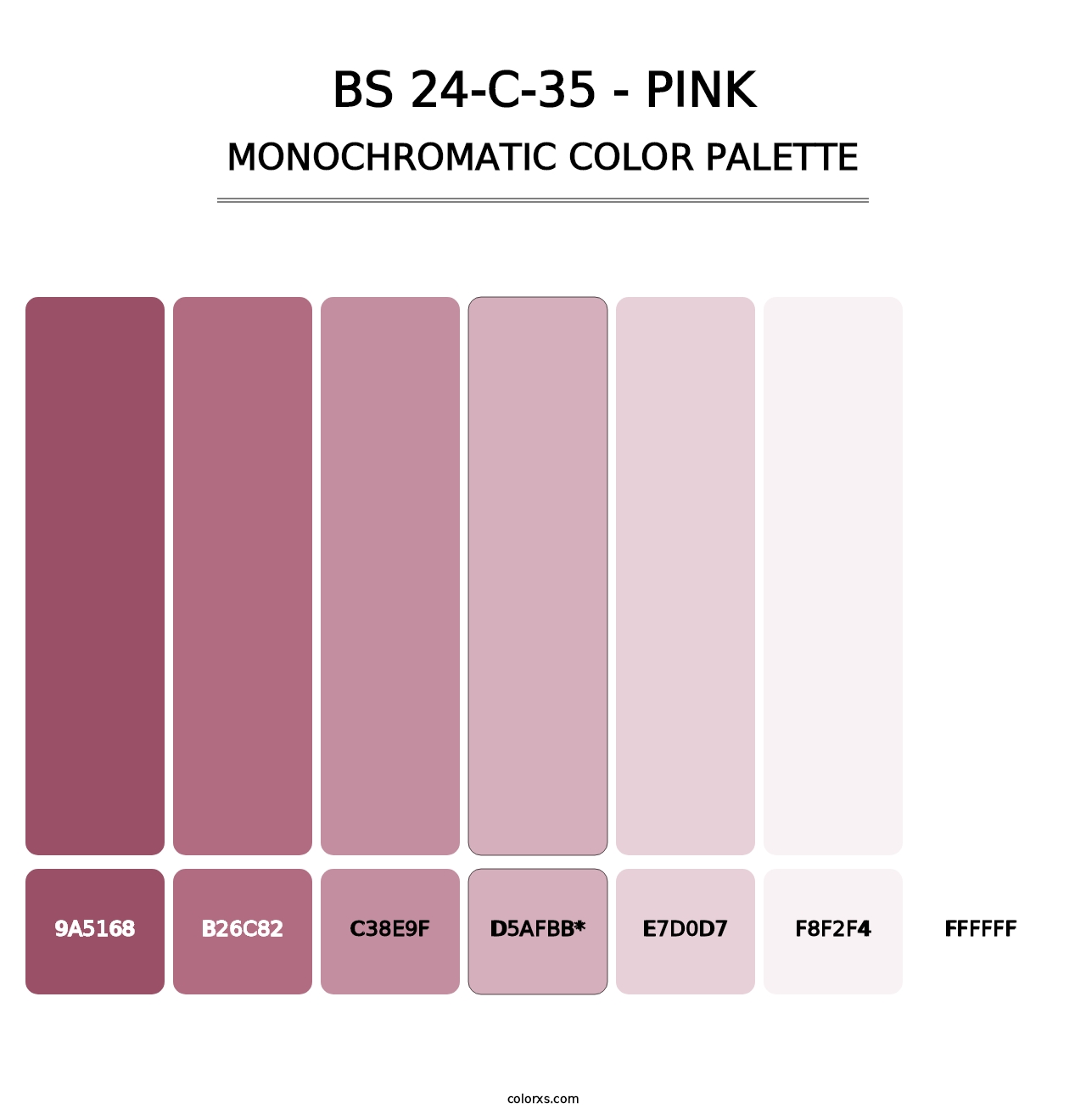 BS 24-C-35 - Pink - Monochromatic Color Palette