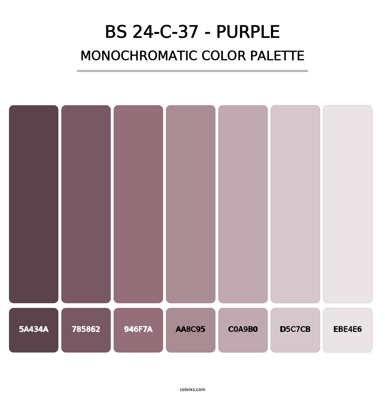 BS 24-C-37 - Purple - Monochromatic Color Palette