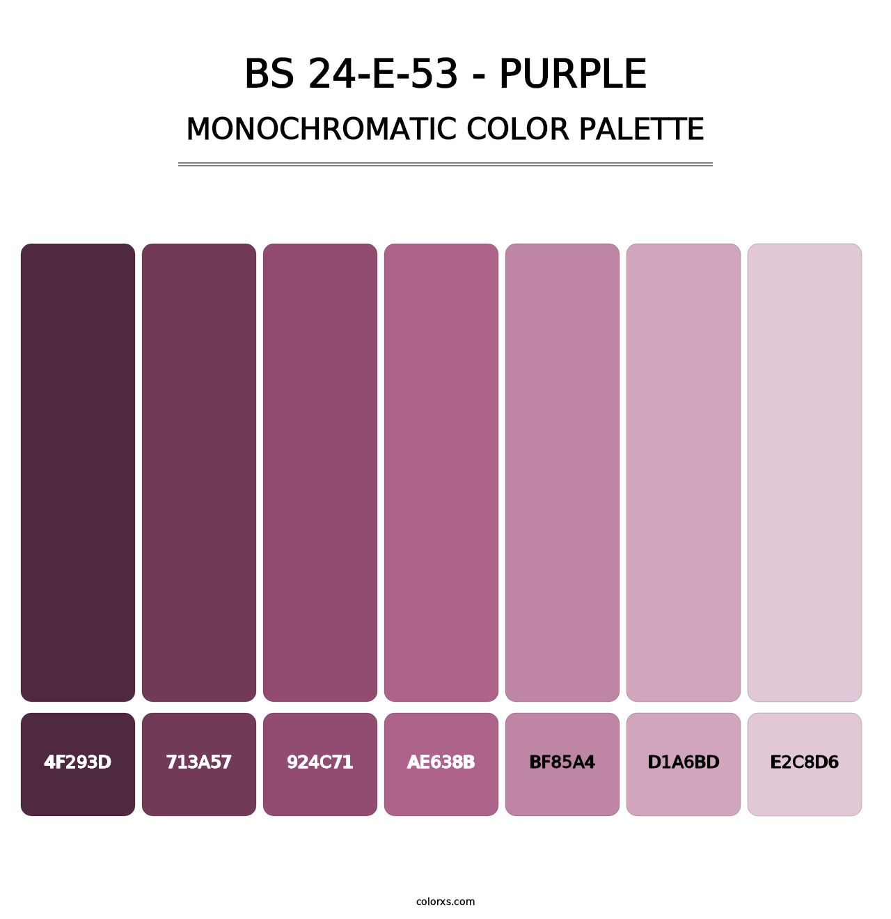 BS 24-E-53 - Purple - Monochromatic Color Palette