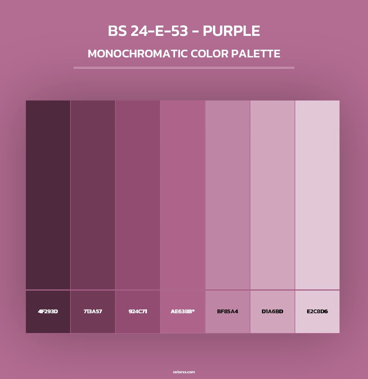 BS 24-E-53 - Purple - Monochromatic Color Palette