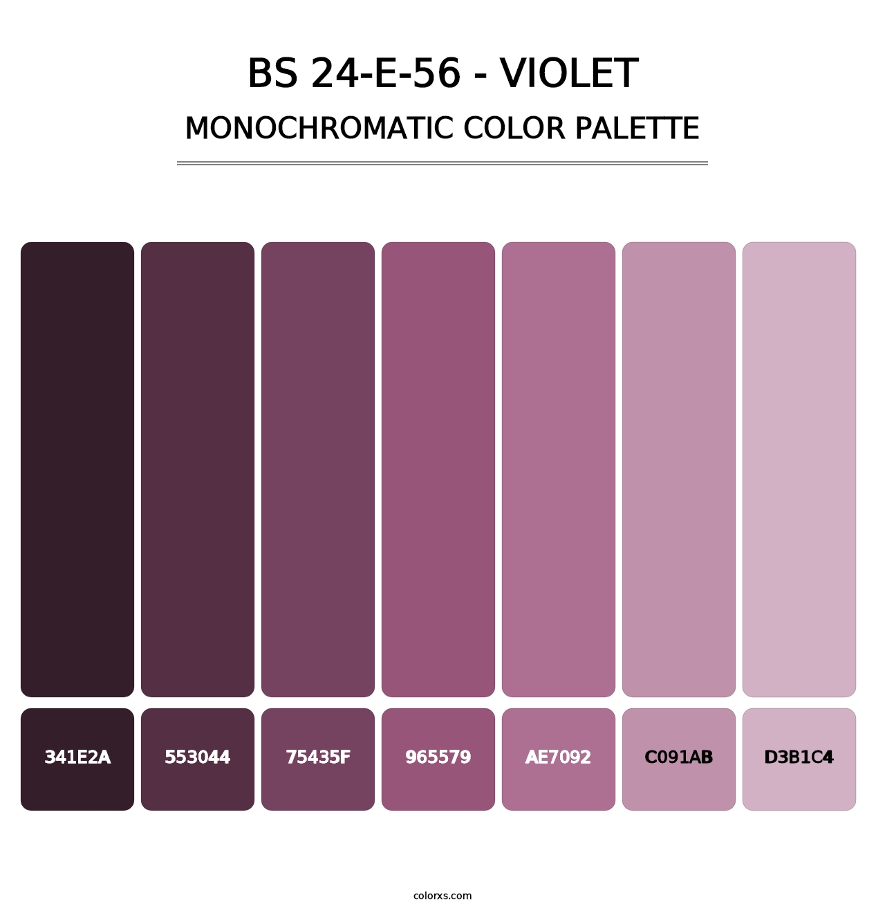 BS 24-E-56 - Violet - Monochromatic Color Palette