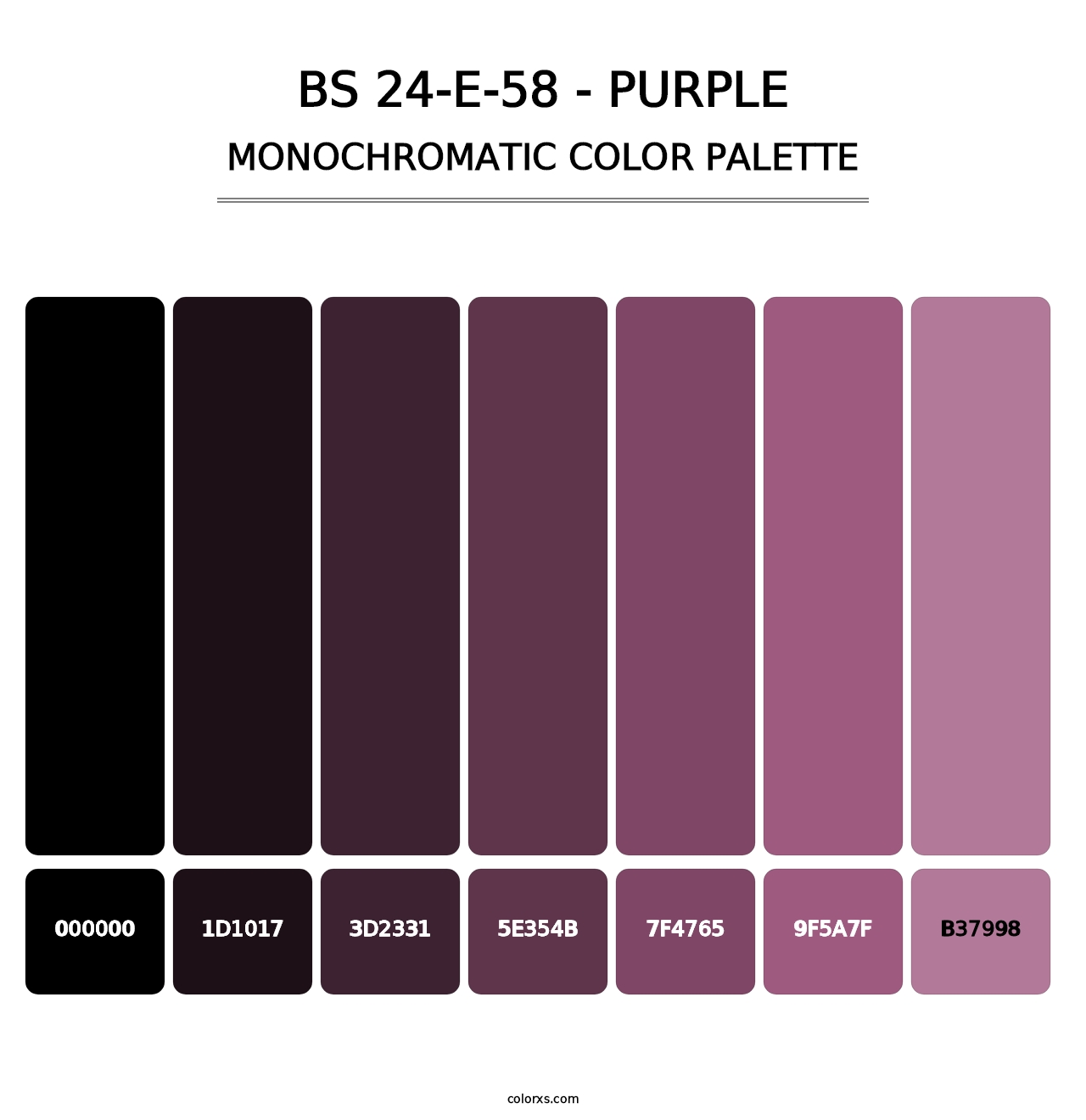 BS 24-E-58 - Purple - Monochromatic Color Palette
