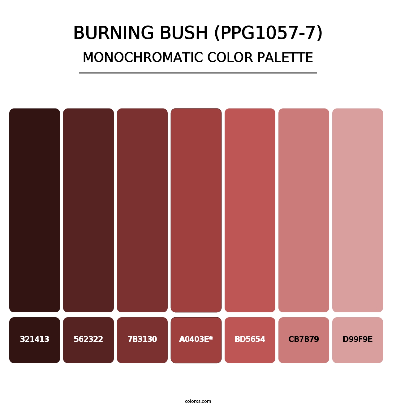 Burning Bush (PPG1057-7) - Monochromatic Color Palette