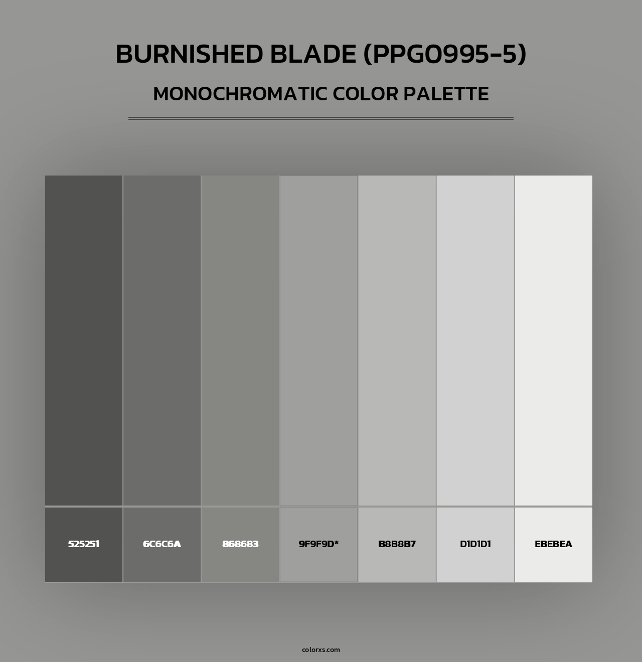 Burnished Blade (PPG0995-5) - Monochromatic Color Palette