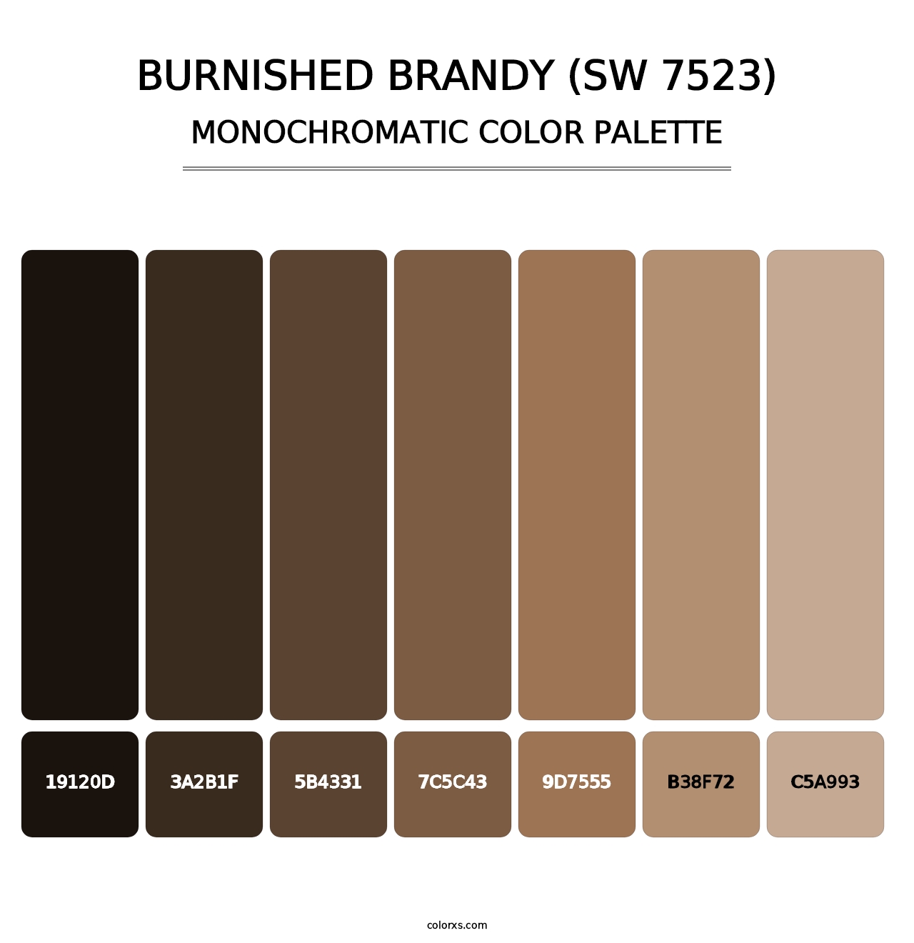Burnished Brandy (SW 7523) - Monochromatic Color Palette