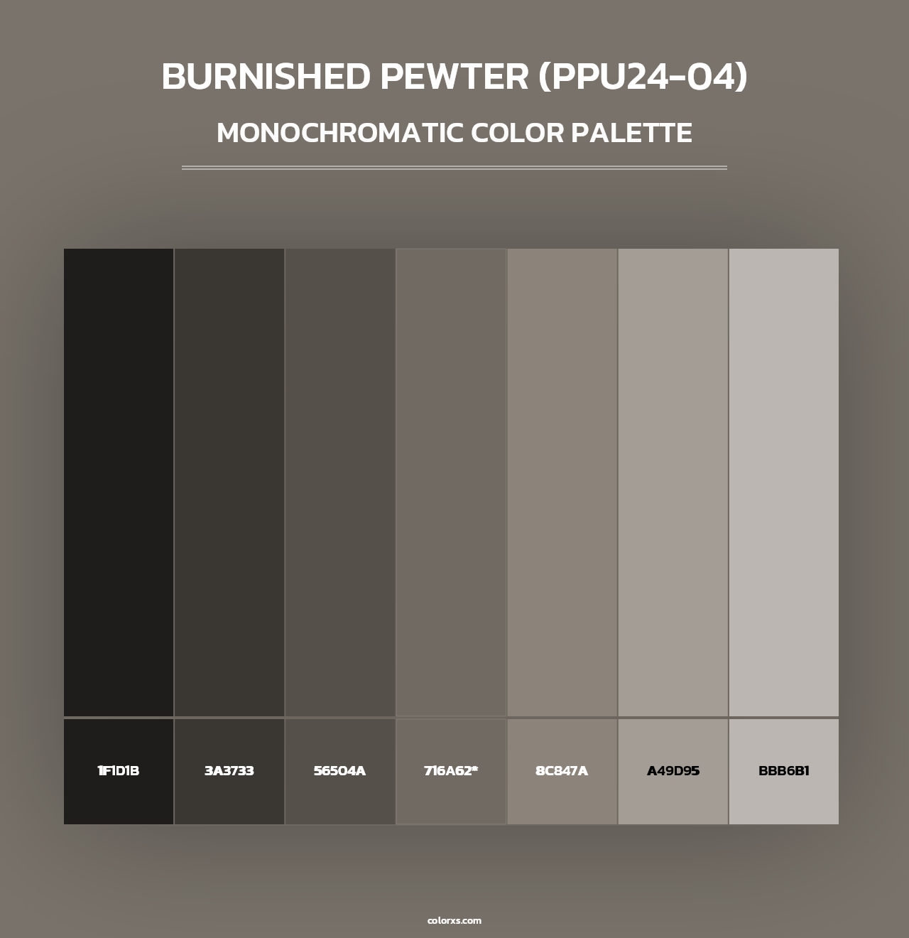 Burnished Pewter (PPU24-04) - Monochromatic Color Palette