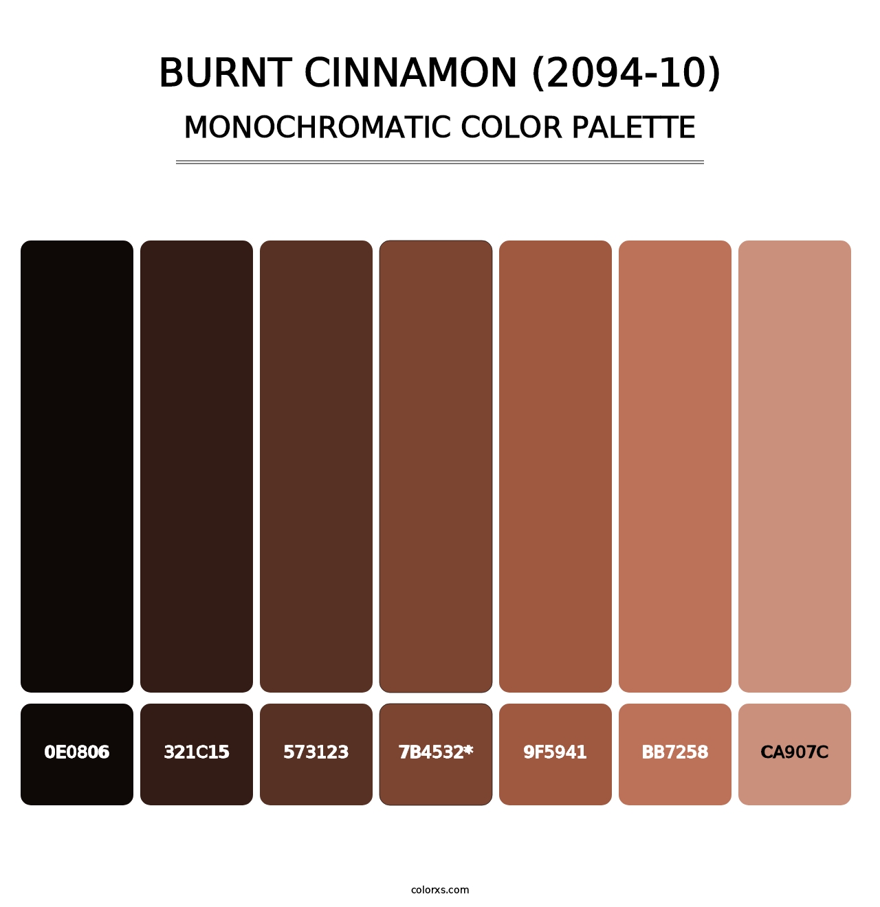 Burnt Cinnamon (2094-10) - Monochromatic Color Palette
