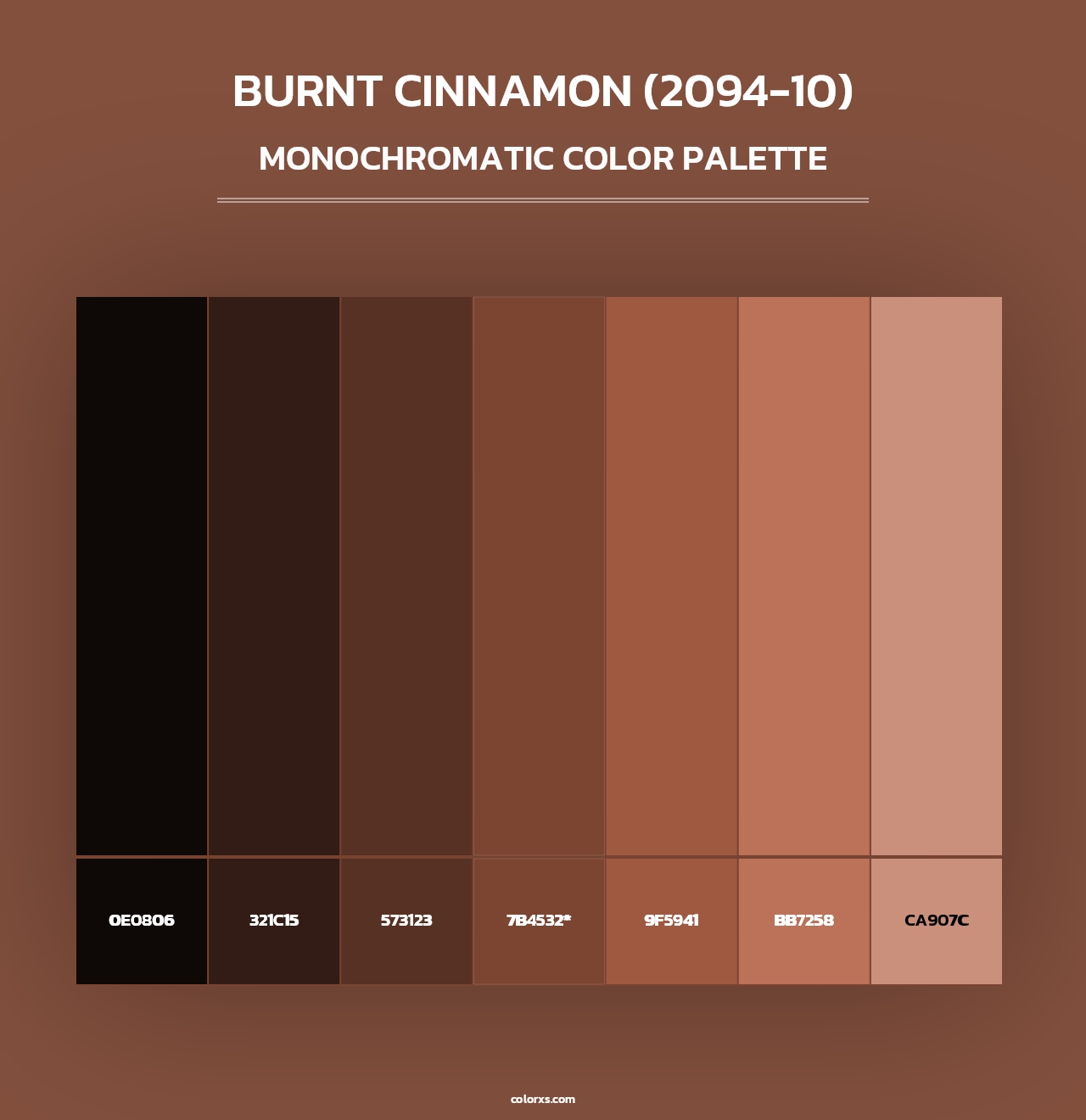 Burnt Cinnamon (2094-10) - Monochromatic Color Palette