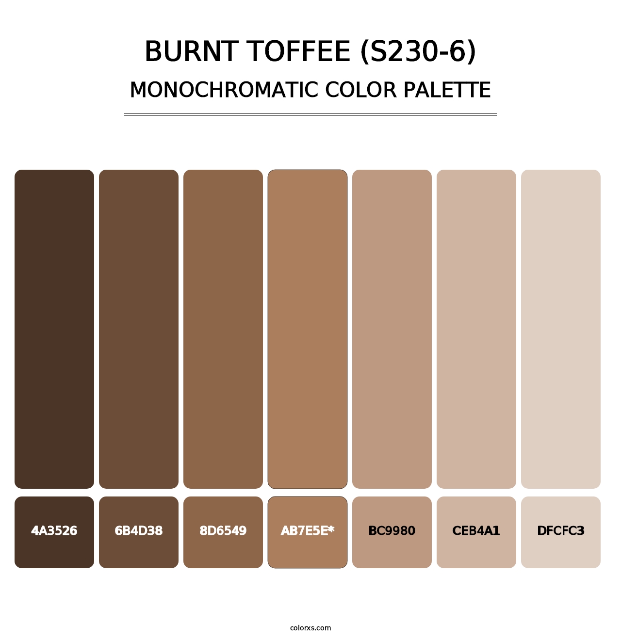 Burnt Toffee (S230-6) - Monochromatic Color Palette