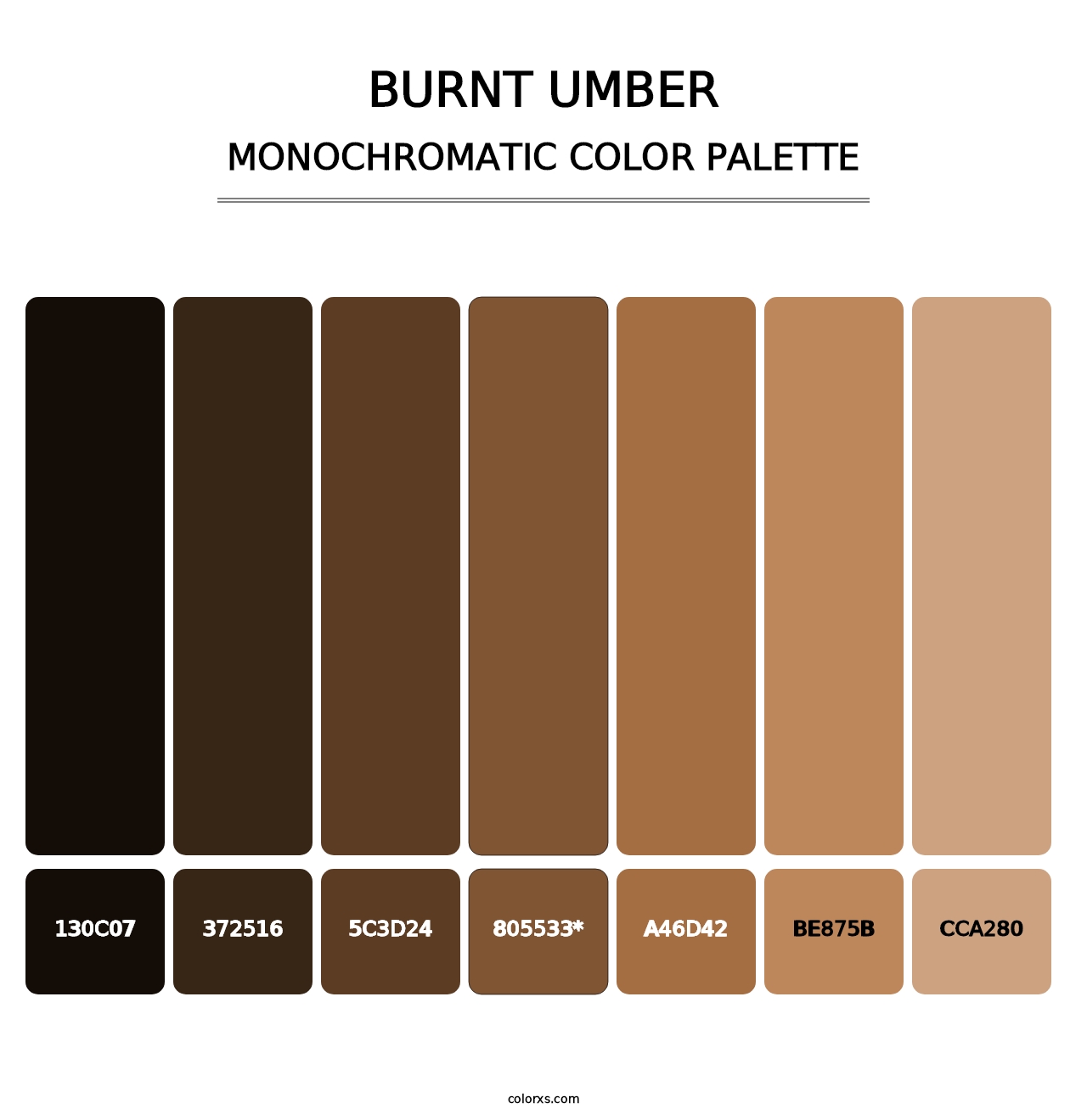 Burnt Umber - Monochromatic Color Palette