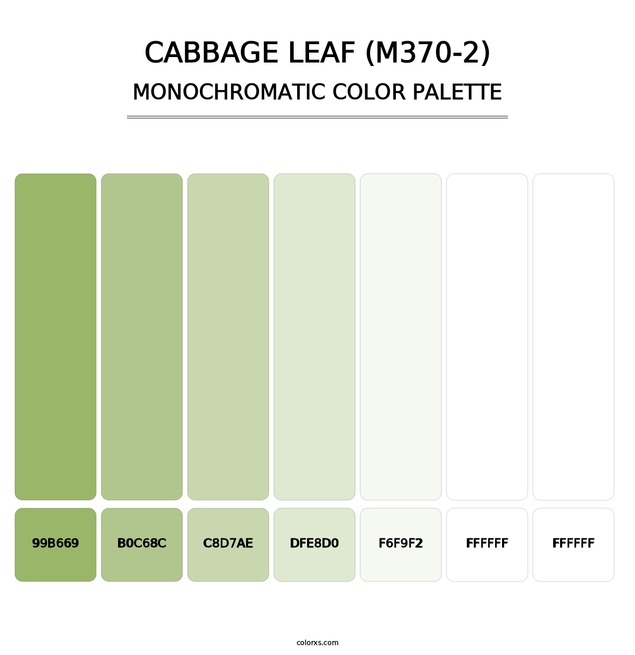 Cabbage Leaf (M370-2) - Monochromatic Color Palette