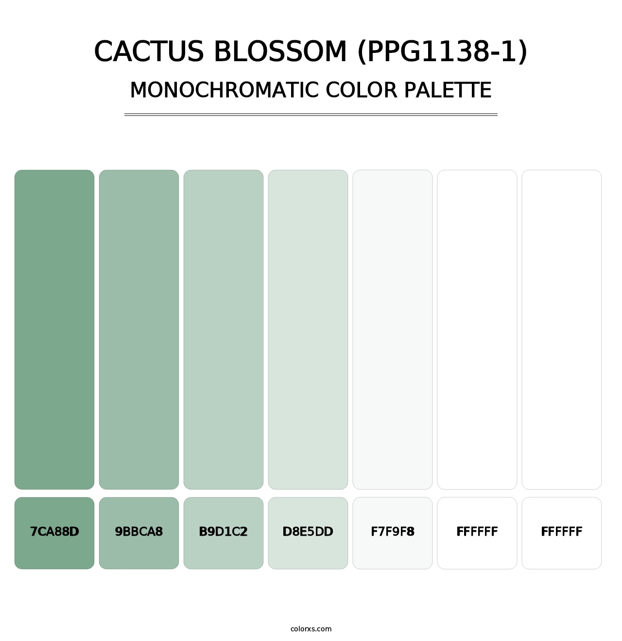 Cactus Blossom (PPG1138-1) - Monochromatic Color Palette