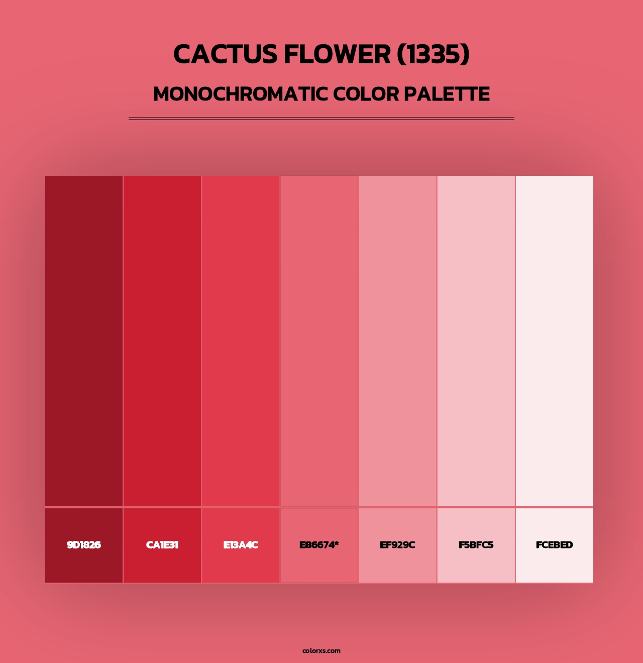 Cactus Flower (1335) - Monochromatic Color Palette