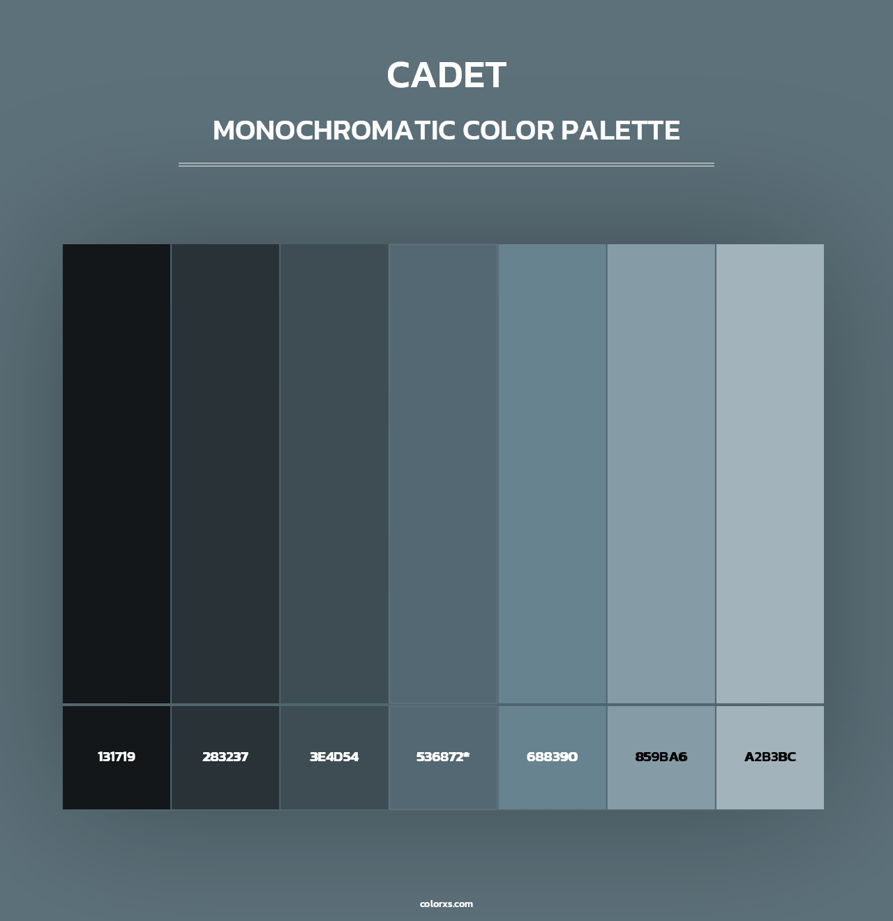 Cadet - Monochromatic Color Palette