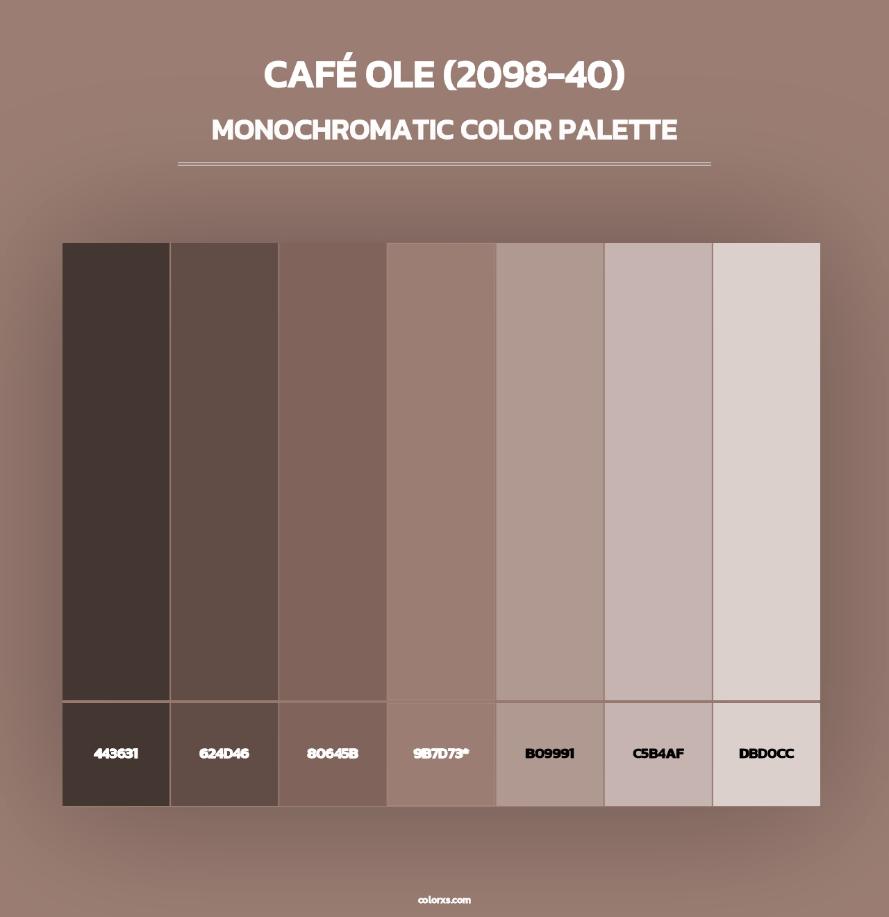 Café Ole (2098-40) - Monochromatic Color Palette