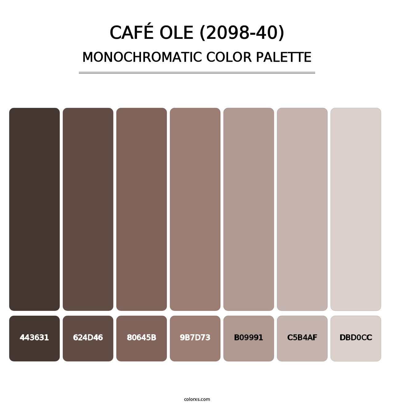 Café Ole (2098-40) - Monochromatic Color Palette