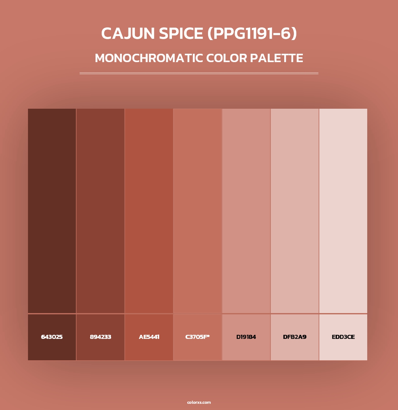 Cajun Spice (PPG1191-6) - Monochromatic Color Palette