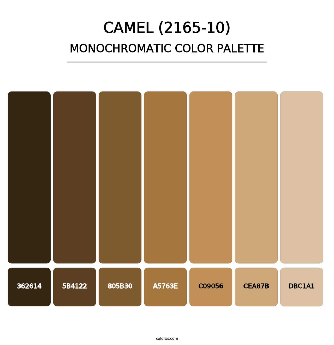 Camel (2165-10) - Monochromatic Color Palette