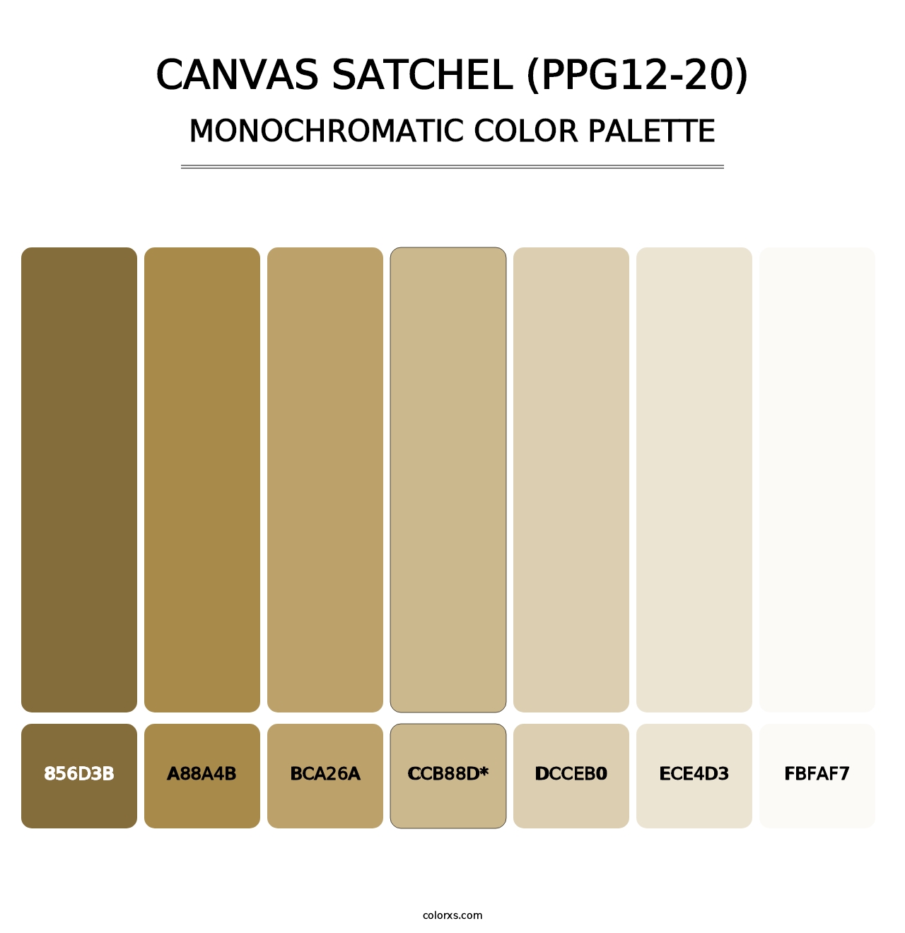 Canvas Satchel (PPG12-20) - Monochromatic Color Palette