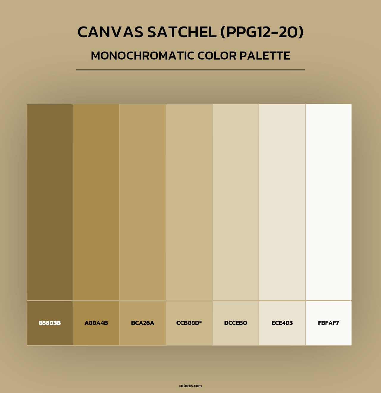 Canvas Satchel (PPG12-20) - Monochromatic Color Palette